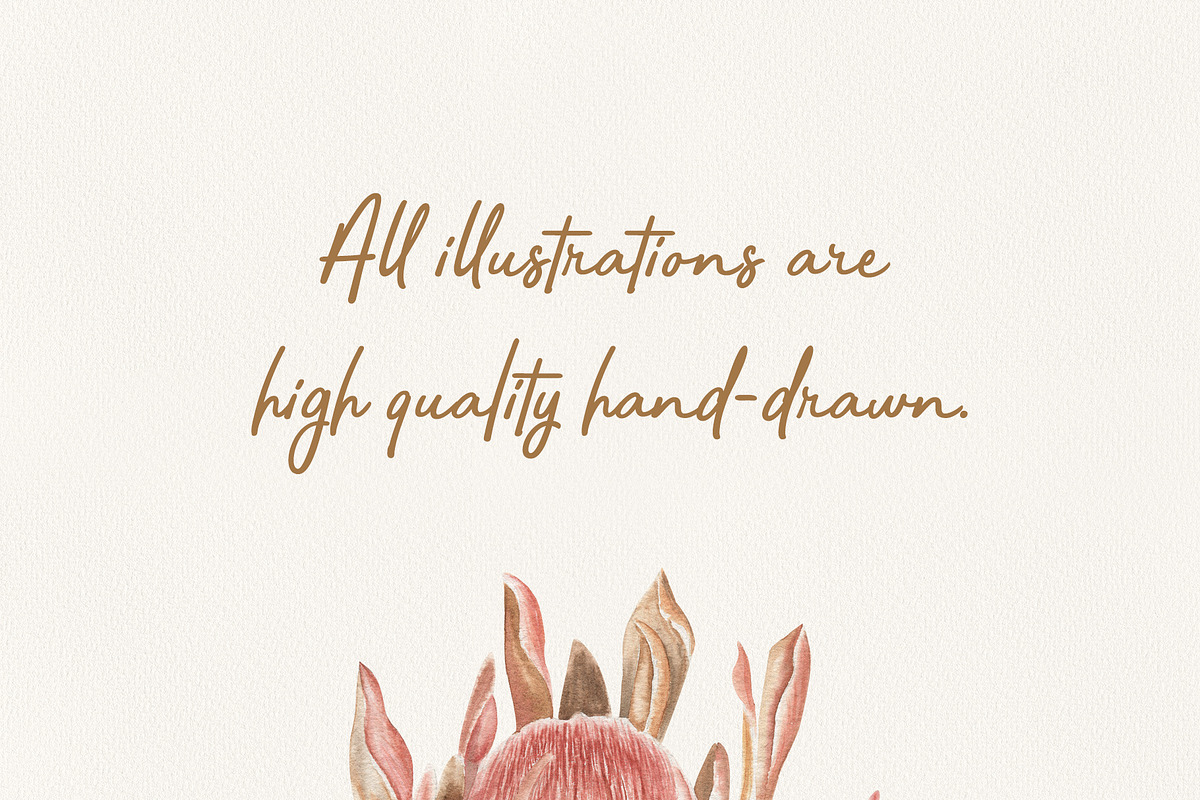 Watercolor boho collection, a Decorative Illustration by ViolettaKh (Photo 9 of 14)