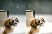 Mobile Lightroom Presets, an Action Add-On by The Red Pine (Thumbnail 4 of 9)