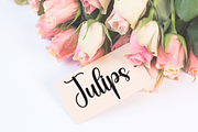 Autography | Script Font, a Handwritten Font by Scratchones (Thumbnail 5 of 8)