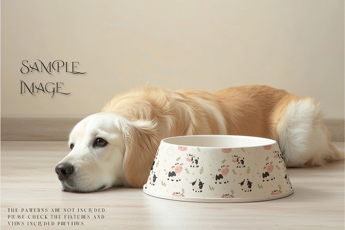 Pet Bowls PNG & PSD Mockups, a Product Mockup by mock-ups (Photo 9 of 14)