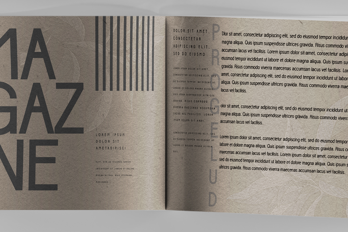 Progelud - Sans serif fonts, a Sans Serif Font by BearyType Studio (Photo 7 of 9)