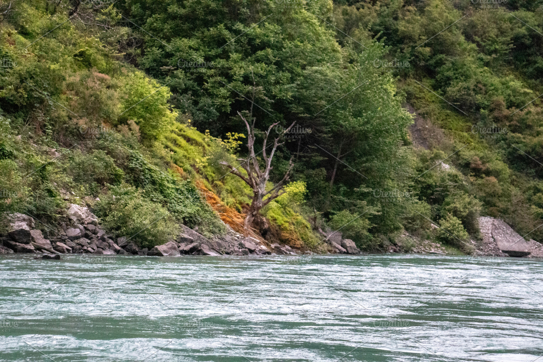 Sulak river in Dagestan, a Nature Photo by Schreibikus