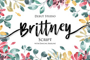 Brittney Script, a Script Font by Debut Studio (Thumbnail 1 of 4)