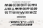 Conten Creator, a Serif Font by FreshTypeINK (Thumbnail 3 of 8)