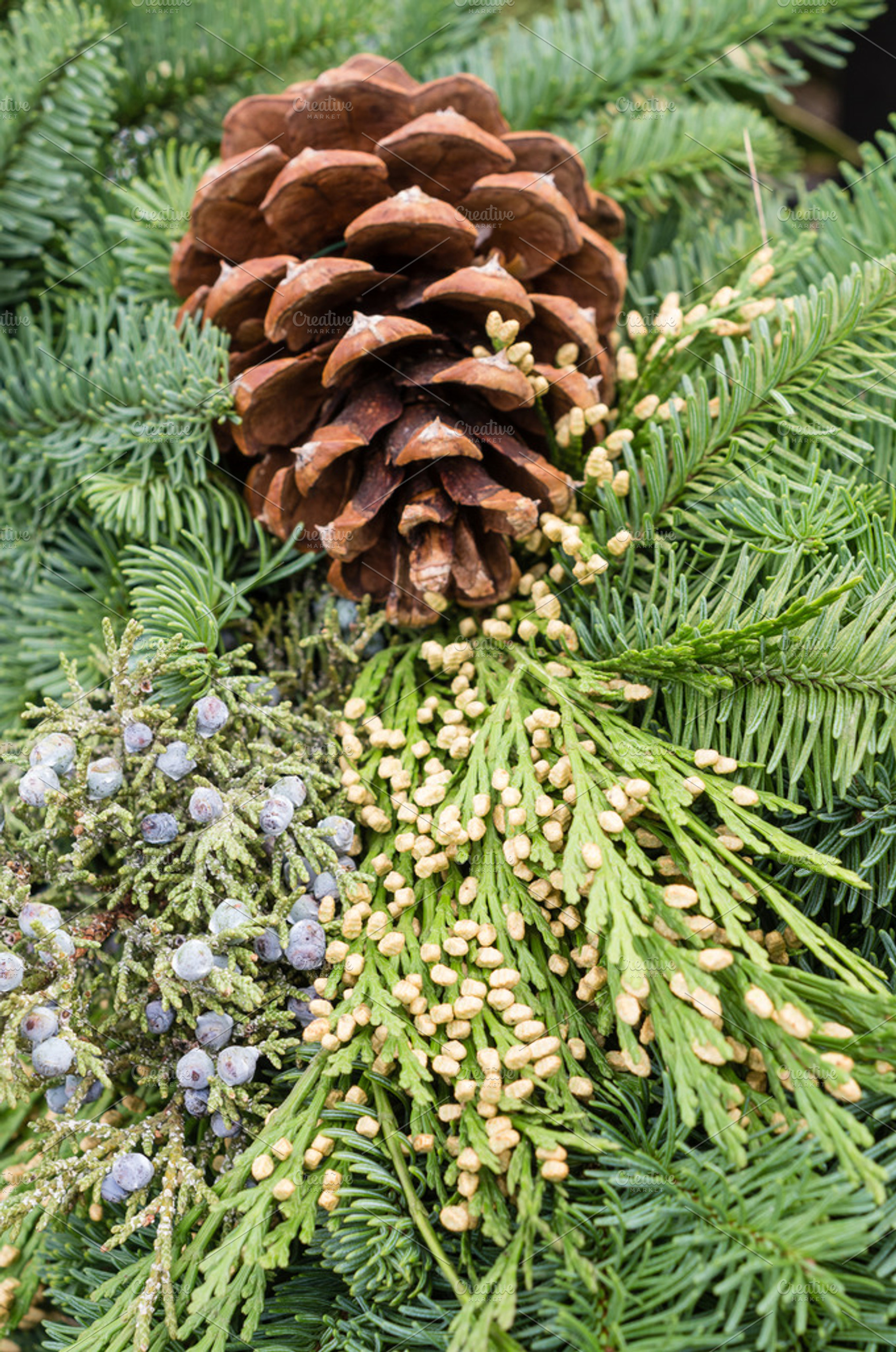 Evergreen Decoration With Pine Cone Featuring Holiday Christmas And