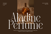 Rifyaj Mhrida Elegant Serif Font, a Serif Font by Graphicxell (Thumbnail 6 of 8)