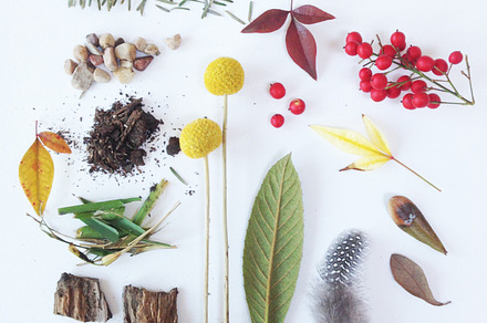 Natural Collection