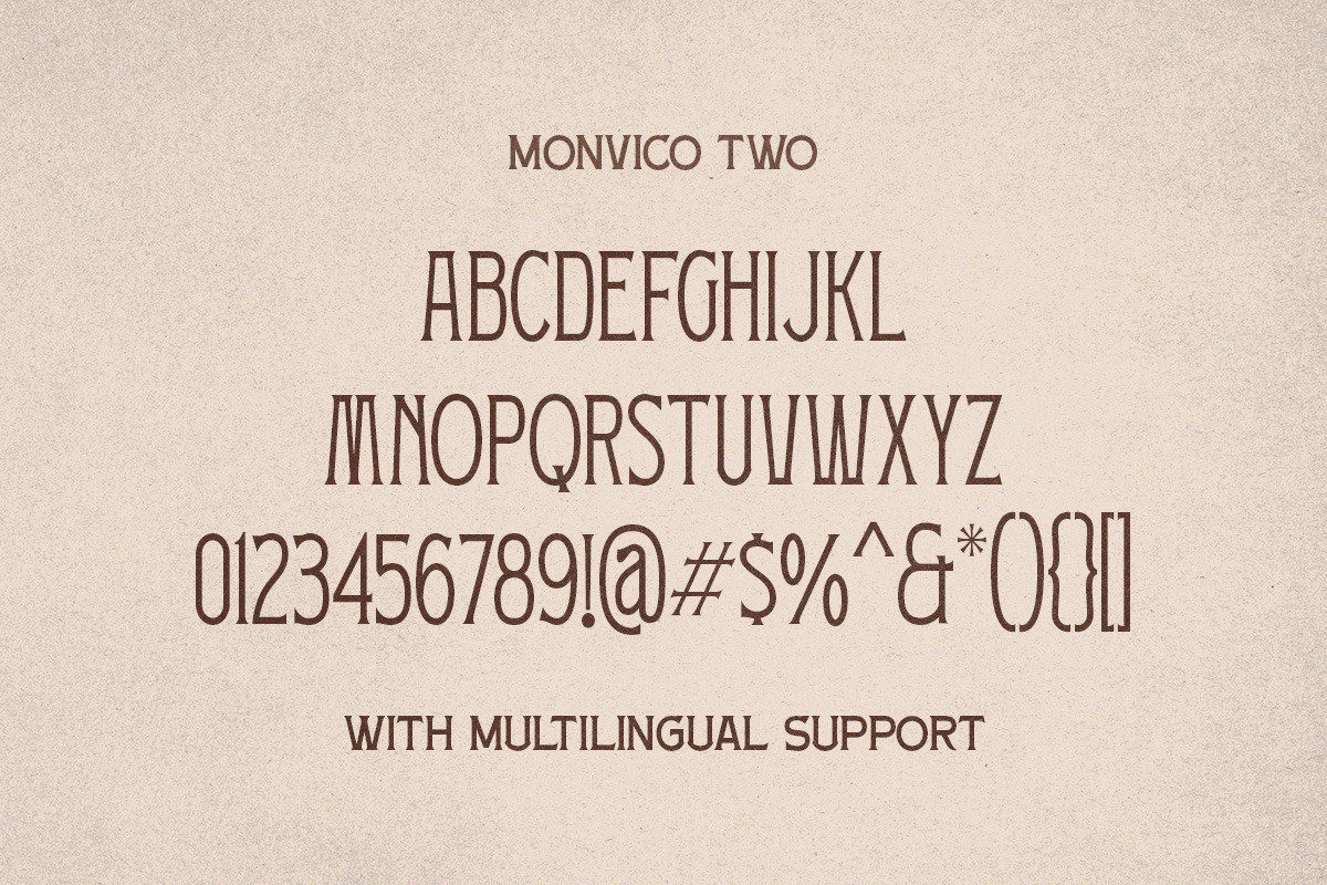 Monvico - Label Display Font, a Serif Font by Letterhend Studio (Photo 9 of 10)