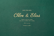 The Wild Petal | Textured Font, a Script Font by elvinova (Thumbnail 9 of 12)