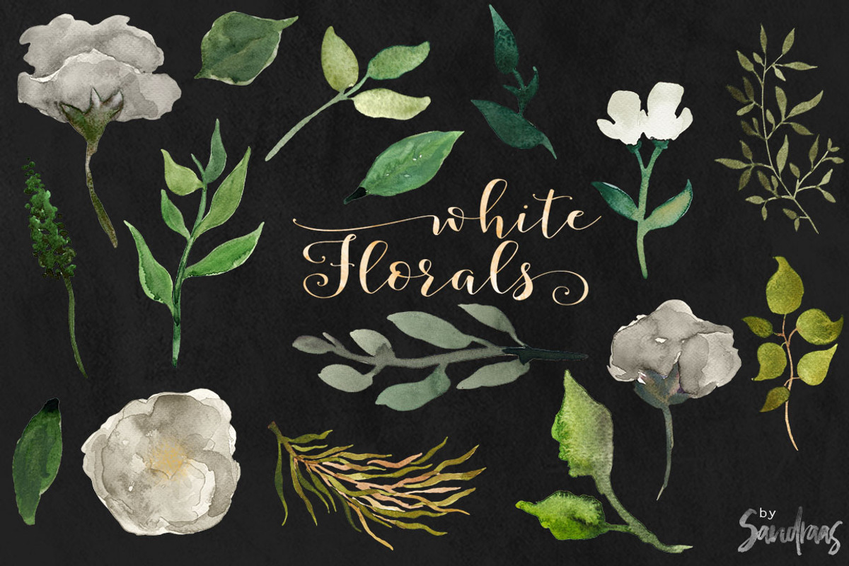 White flowers clip art, hand painted, an Illustration by SandraGraphicDesign (Photo 3 of 4)