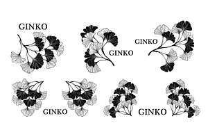 Set small ginkgo biloba