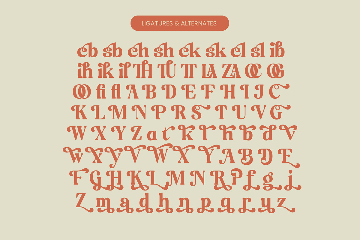 Engray Danton Modern Serif Font, a Serif Font by timelesstype.co (Photo 19 of 20)