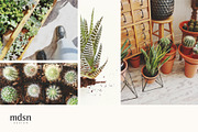 Retreat | Botanical Stock Photo Bund, a Nature Photo by MDSN Design (Thumbnail 4 of 16)
