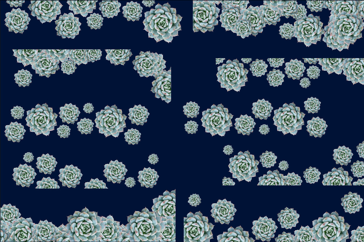 Succulent Borders - Botanic ClipArt, an Object Graphic by Turning Moss (Photo 5 of 5)