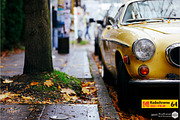 Kodachrome 64 preset Lightroom, an Action Add-On by ProPreset (Thumbnail 9 of 9)