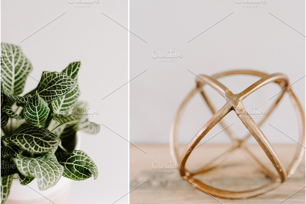 Farmhouse Fall Styled Stock Photos, a Holiday Photo by LaPorte Images (Photo 6 of 12)