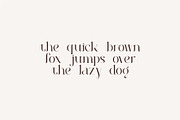 Roilra - Serif Ligature Font, a Serif Font by suhadidesign (Thumbnail 4 of 13)