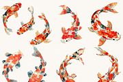 Watercolor Koi Fish Clipart, an Animal Illustration by Design Scotch (Thumbnail 2 of 9)