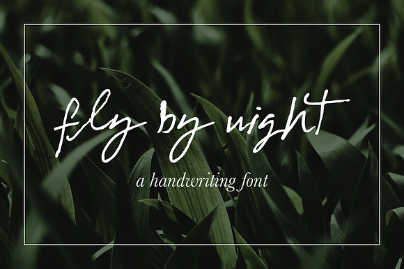 Fly By Night preview 6