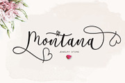 Delissia Script, a Script Font by Jhoel Design (Thumbnail 2 of 11)