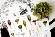 FALL WINTER MAGIC SEASONS CREATOR, a Texture Illustration by ArtOLB (Thumbnail 3 of 11)