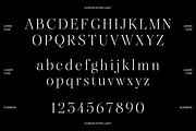 Dupioni - 6 font family, a Serif Font by Silktype (Thumbnail 19 of 21)