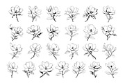 50 Magnolia Procreate Stamps Brushes, a Brush Add-On by Procreate Sale (Thumbnail 4 of 6)