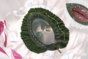 Pressed Bloom Dopamine Set, an Object Graphic by Muse Artist (Thumbnail 13 of 16)