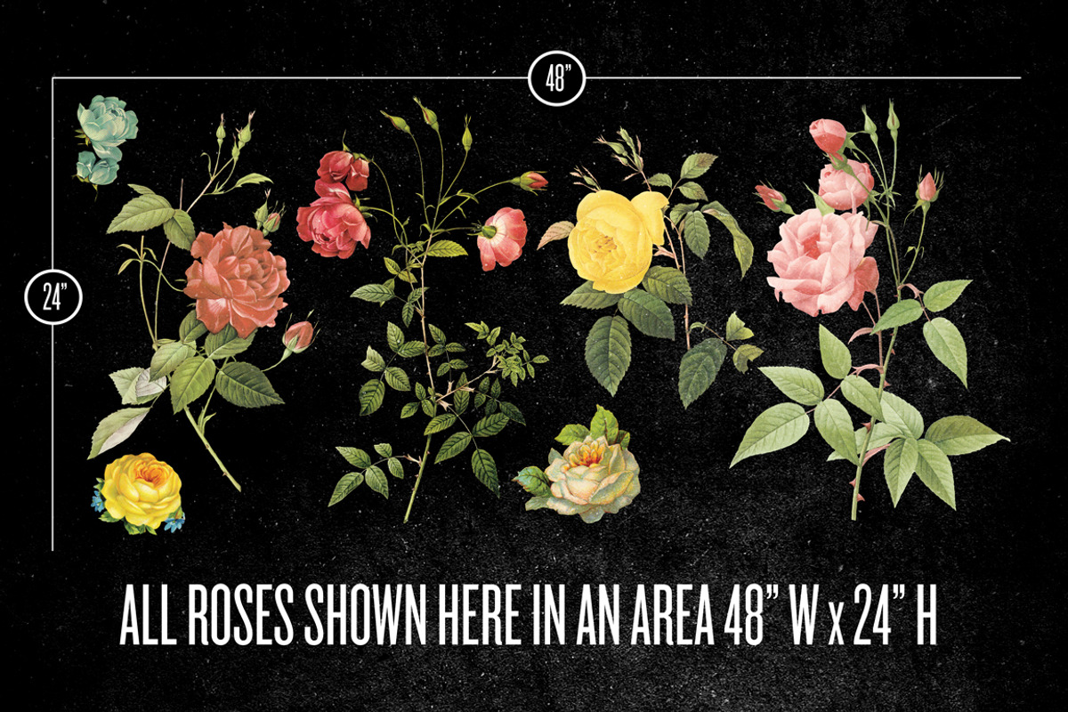 ROSES preview 2
