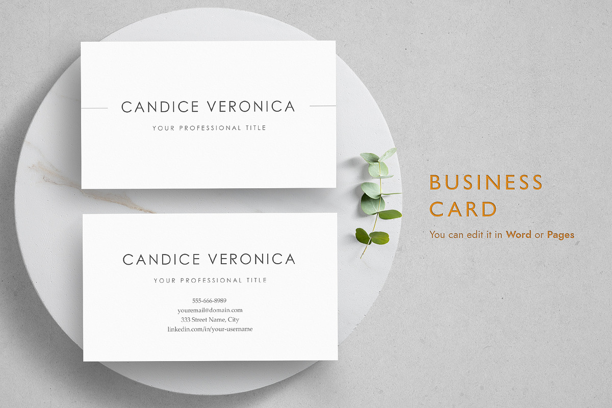 ATS Resume Template - CANDICE, a Resume Template by TheStandOutResume (Photo 6 of 7)