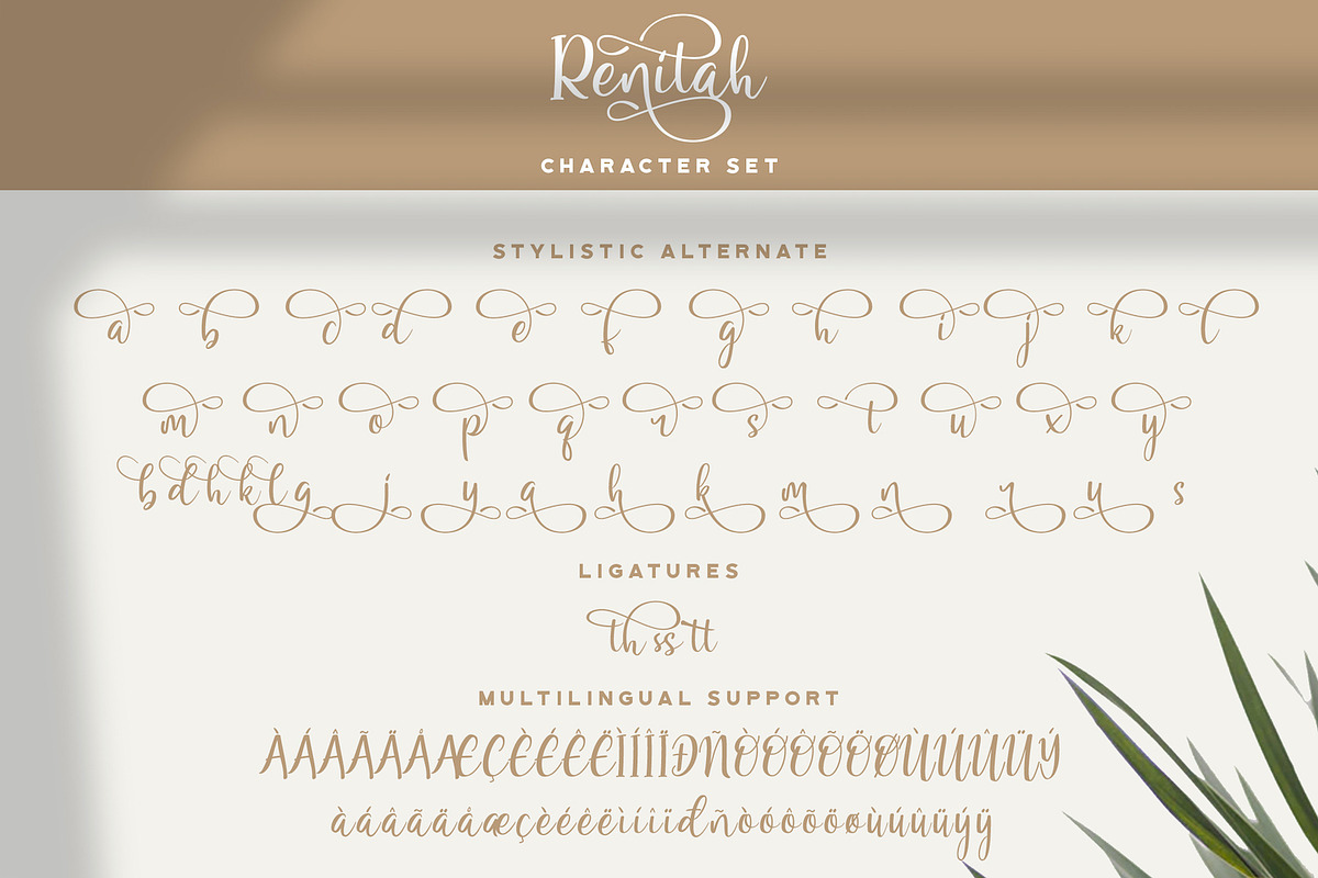 Renitah - Lovely Script Font, a Script Font by StringLabs (Photo 11 of 12)