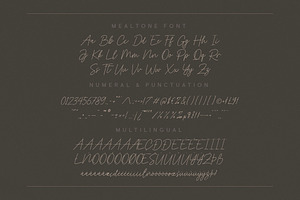 Mealtone Signature Script Font