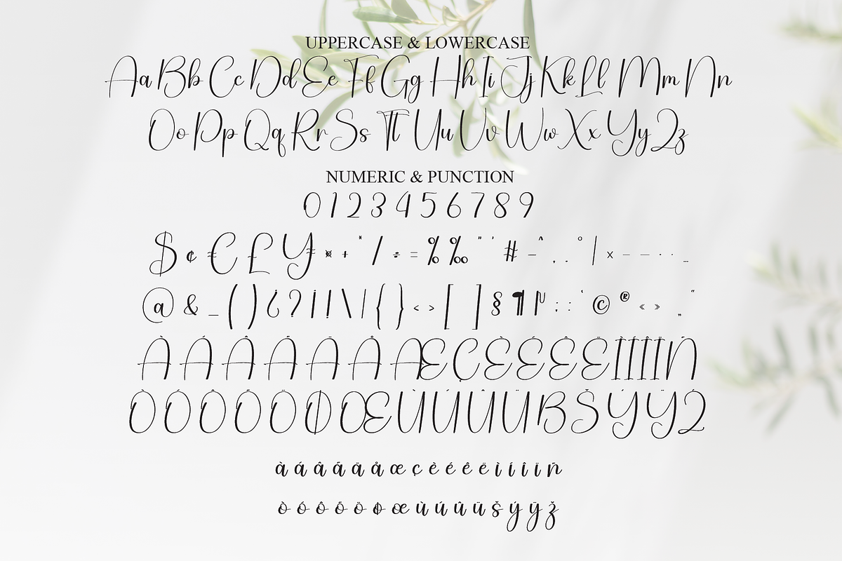 Someday | Script Font, a Handwritten Font by Scratchones (Photo 7 of 9)