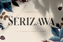 Serizawa - Classic Serif Font
