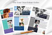 Canva Newsletter Template Dog Pets, an Email Template by PixelCraft (Thumbnail 5 of 15)
