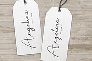 American Signature | Script Font, a Handwritten Font by Scratchones (Thumbnail 3 of 8)