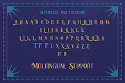 Royal Chrisnight a Vintage Font, a Serif Font by Skillyas_Studio (Thumbnail 8 of 9)