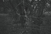 Mood collection, a Photo by Alekseyliss (Thumbnail 6 of 21)