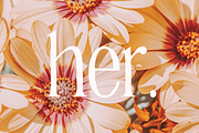 HANNAH & CLAY | handwritten serif, a Serif Font by Loryn Ipsum (Thumbnail 9 of 12)