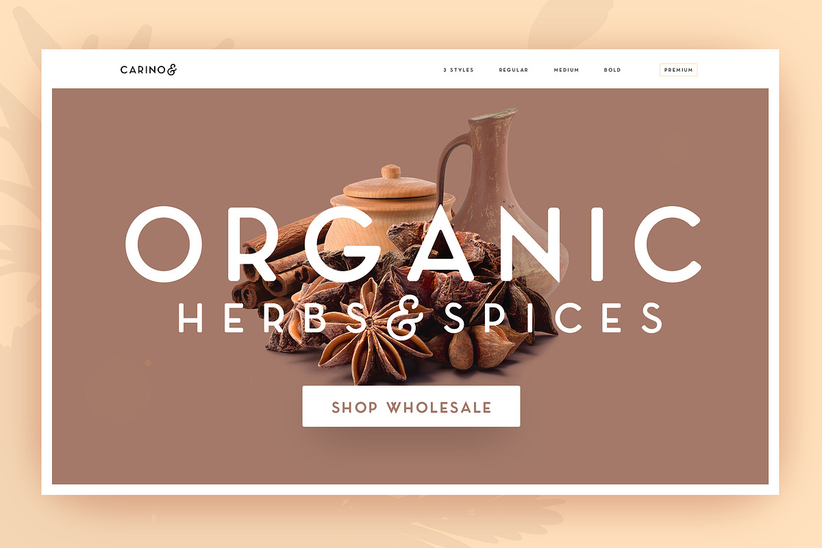 Carino - A Modern Elegant Typeface preview 6