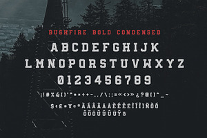 Bushfire - 4 Font Family