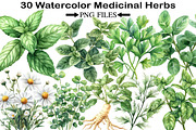 Watercolor Medicinal Herbs Clipart, an Illustration by Black Bird Studio (Thumbnail 1 of 5)