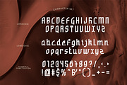 Bashiroh Arabic Font, a Script Font by Catalystco Studio (Thumbnail 2 of 7)