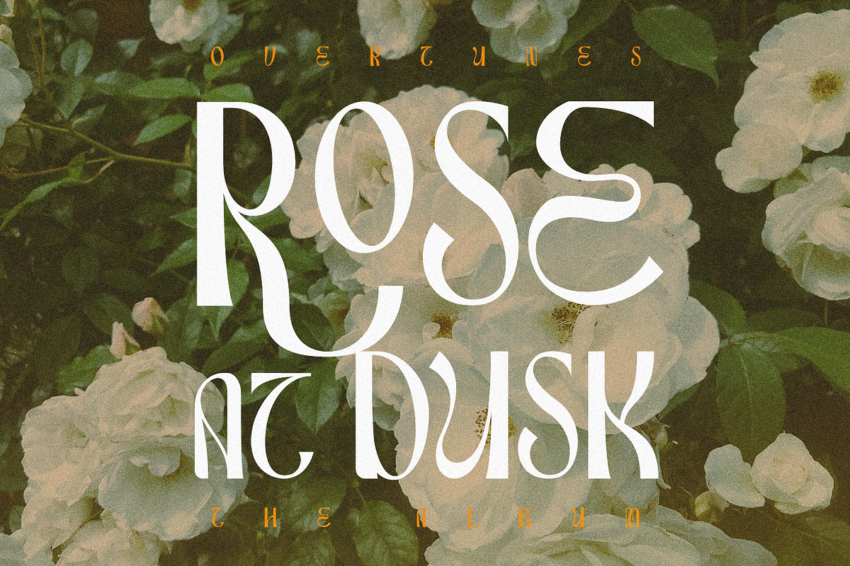 Munish, a Sans Serif Font by FactoryType Studio (Photo 9 of 13)