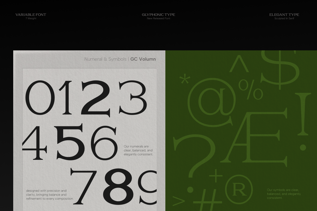 GC Volumn - Elegant Serif Typeface, a Serif Font by Glyphonic (Photo 9 of 15)