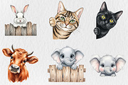 Animal Peeking Clipart Bundle, an Animal Illustration by Rose Art (Thumbnail 4 of 4)