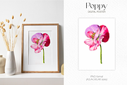 Pink watercolor digital Poppy flower, a Decorative Illustration by Harmony Draws (Thumbnail 5 of 6)