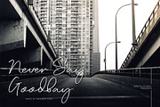 Angora, a Script Font by Omotu Studio (Thumbnail 5 of 12)