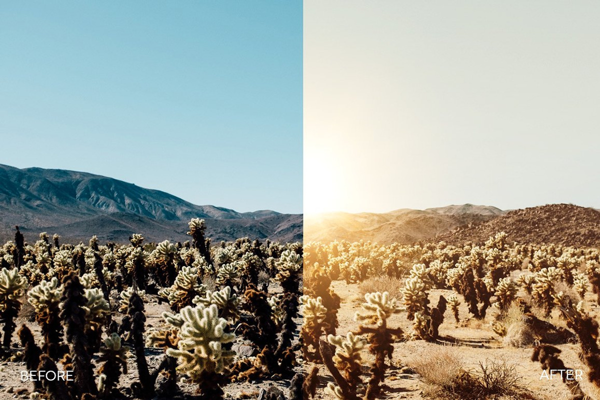 Infinity Collection PS Actions, an Action Add-On by RockShutter (Photo 6 of 6)