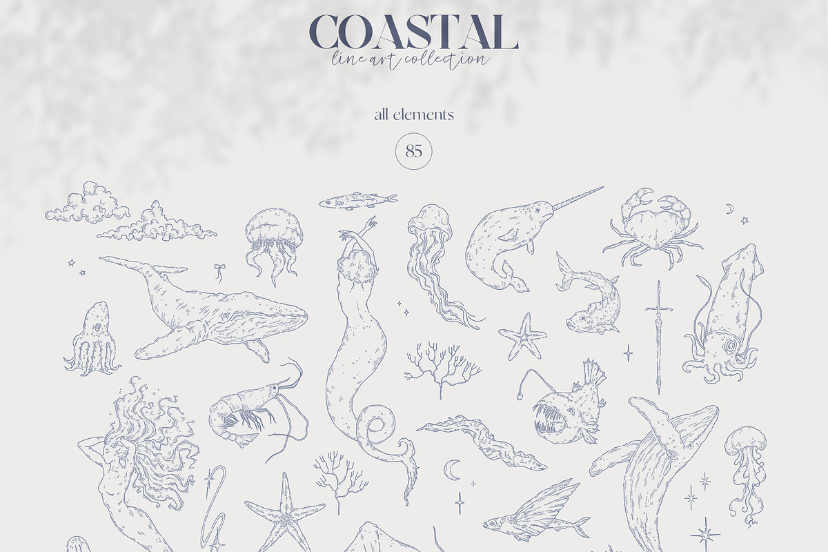 Coastal Line art collection, an Object Graphic by Kreker Kate (Photo 3 of 5)